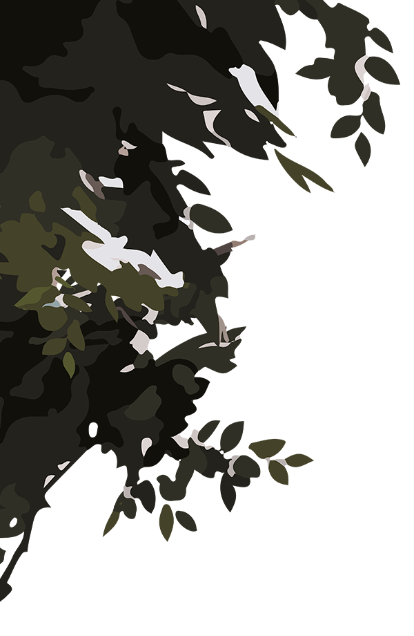 United Christian College (Kowloon East)